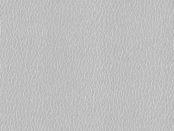 EFL2301 BRIGHT SILVER