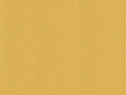 EFL2302 BRIGHT GOLD