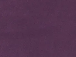KAM7803 PURPLE