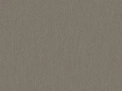 KAMN7919 GREY