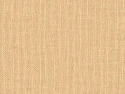 NAC8015 BEIGE