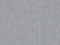 NAP6791 ARGENT
