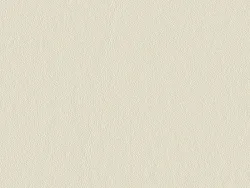 NAP6795 PERLE