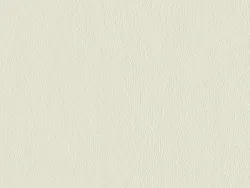 NAPJ6679 BLANC