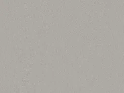 NAPJ6686 PERLE