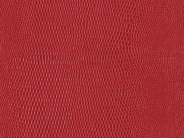 pel9150 flat plane.jpg.700x525 q80 autocrop crop smart zoom 100 1