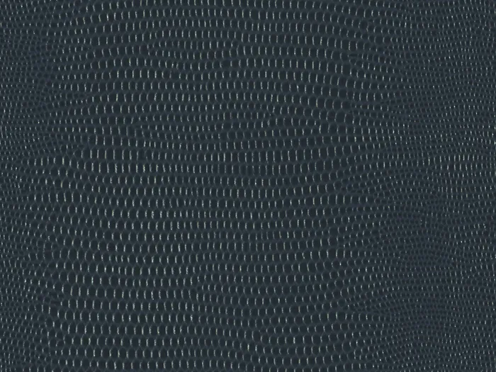 pel9155 flat plane.jpg.700x525 q80 autocrop crop smart zoom 100 1