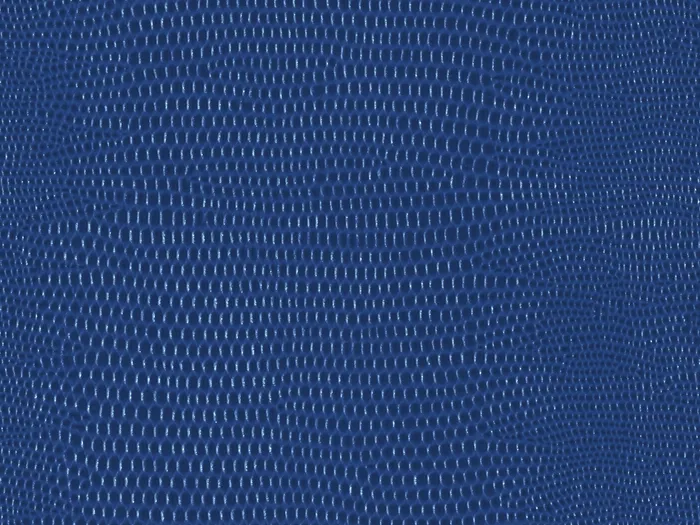 pel9156 flat plane.jpg.700x525 q80 autocrop crop smart zoom 100 1