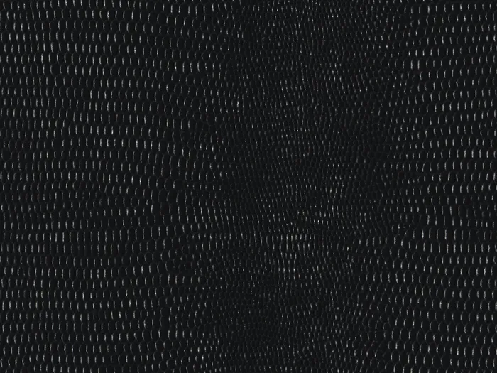 pel9163 flat plane.jpg.700x525 q80 autocrop crop smart zoom 100 1