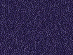 PEM9215 PURPLE