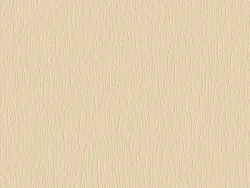 RNA95506 COQUILLE