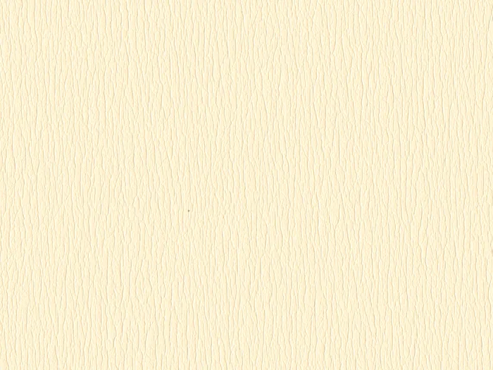 rna95512 flat plane.jpg.700x525 q80 autocrop crop smart zoom 100 1