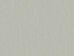 RNA95529 ARGENT