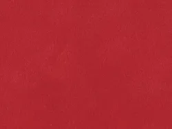 SR004 RUBIS
