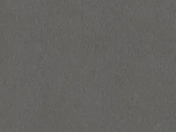 SS115 PIGEON