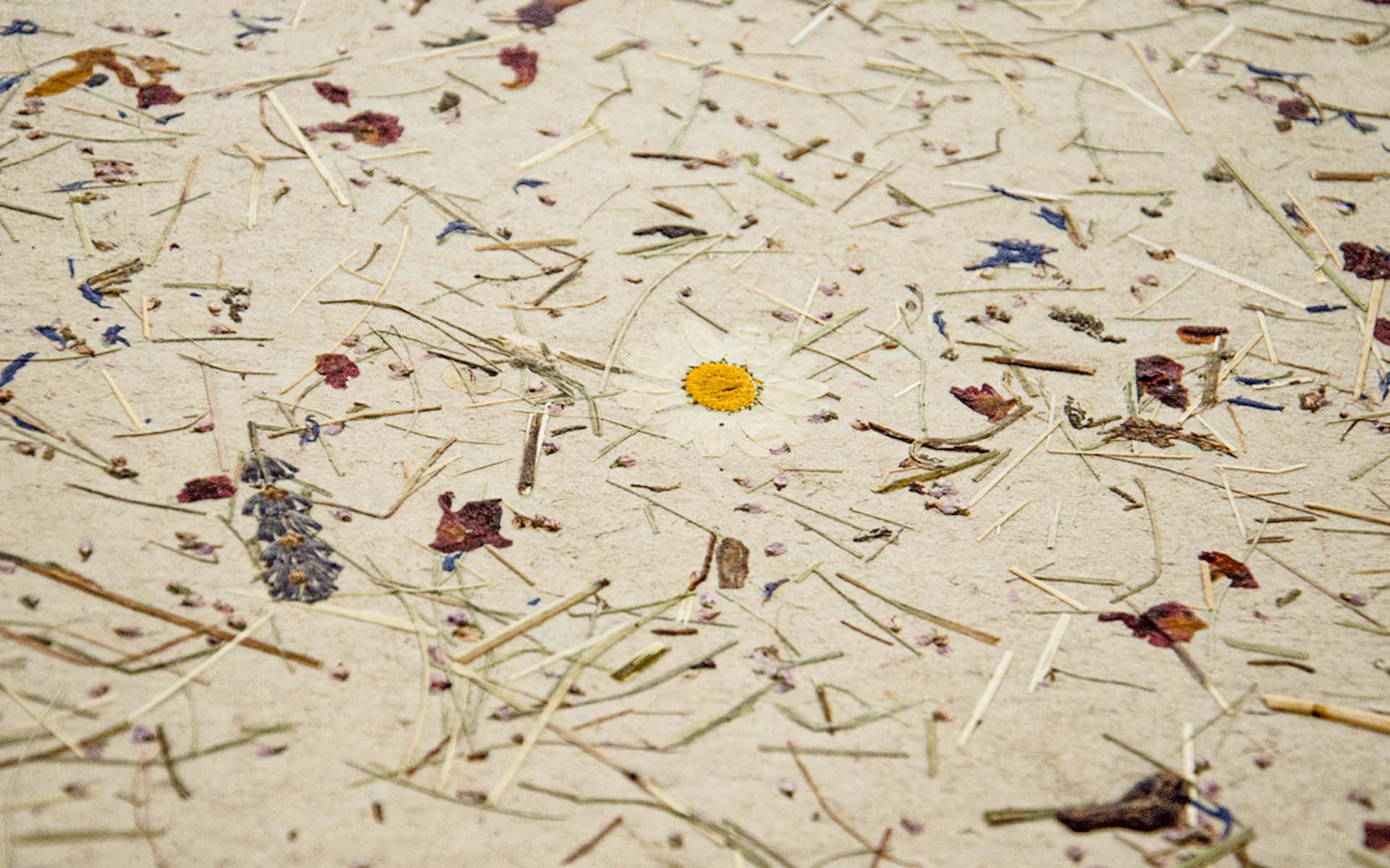 sustainable natural surfaces