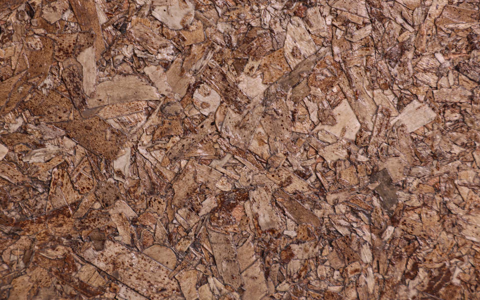 sustainable seagrass