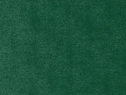 SXC5258 GREEN