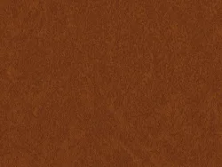 SXM5284 TAN