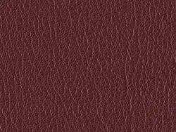 SXU5344 MAROON