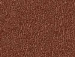 SXU5348 BROWN