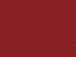 SXV5202 RED
