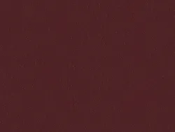 SXV5205 MAROON