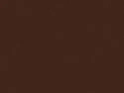 SXV5206 BROWN