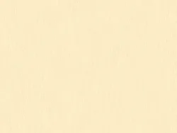 SXV5208 EGGSHELL
