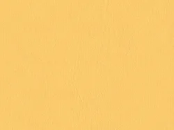 SXV5210 YELLOW