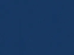 SXV5217 BLUE