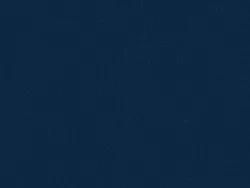 SXV5218 BLUE