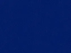 SXV5220 ELECTRIC BLUE