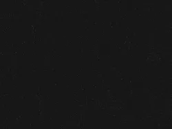 SXV5221 BLACK