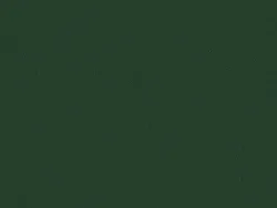 SXV5227 GREEN