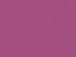 SXV5230 PINK