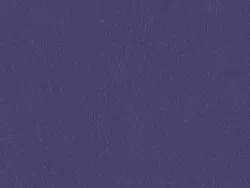 SXV5233 PURPLE