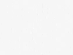 SXV5236 WHITE