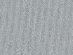 SXV5242 SILVER GREY