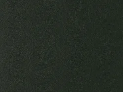 ZIB2003 GREEN