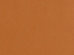 ZIB2006 TAN