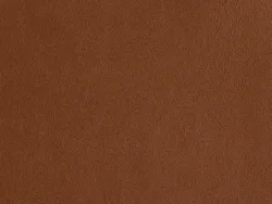 ZIB2007 WALNUT