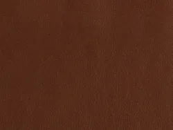 ZIB2008 CHOCOLATE