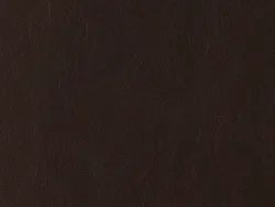 ZIB2009 BROWN