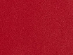 ZIB2012 RED