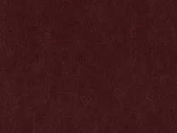 ZIB2014 PLUM