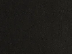 ZIB2016 BLACK